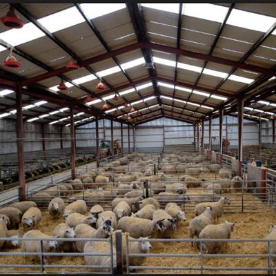 China Poultry Goat Farm Ready Made Construction Sheds Low Cost Poultry Sheep Yard for sale