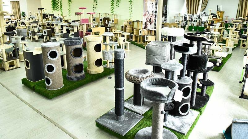 Verified China supplier - Hangzhou Tewang Pet Products Co., Ltd.