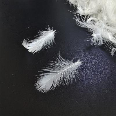 China Eco-friendly 2-4cm luxury wahsed white duck down feather wholesale Duck Feather For Furniture Sofa white down feather duvet for sale