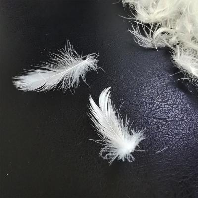 China Eco-friendly Standard Filling Cheap Price 4-6cm Duck Feather For Furniture Sofa White for sale