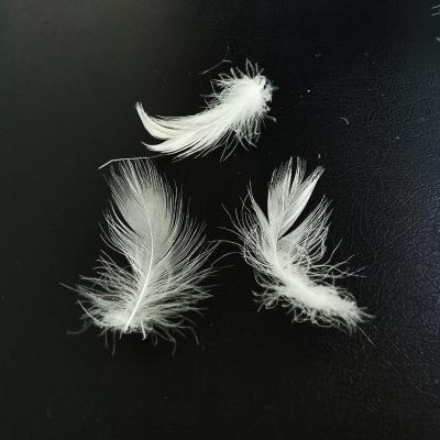 China Eco-friendly EU Standard Goose Down Feather 4-6 Cm White Duck Feather For Pillow Insert for sale