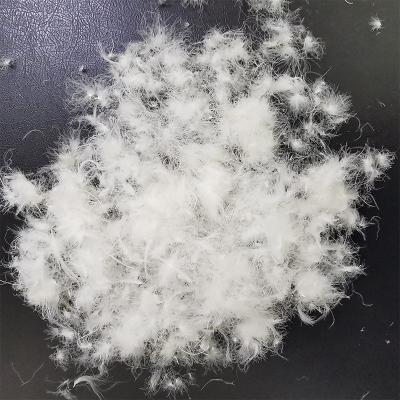 China High Cleanliness IDFL Feather Pillow Insert 24 Stripper Jackets 70% Washed Duck Down White For Sunsle Bed Sleep for sale