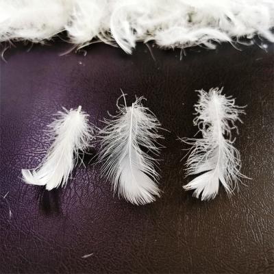 China Eco - Friendly Factory Direct Selling RDS Certified 4-6cm Washed White Duck Feather for sale