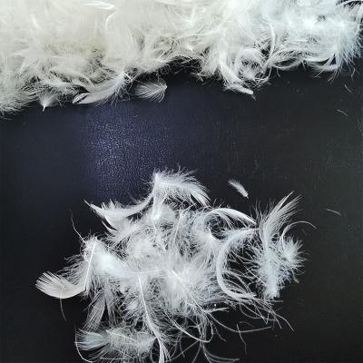 China Eco-friendly factory price 2-4cm down feather washed white duck down feather comforter white duck feather for sale