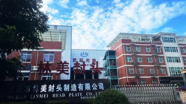 Geverifieerde leverancier in China: - Wuhan Linmei Head Plate Co., Ltd.