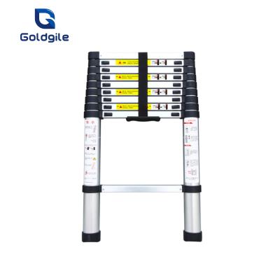 China Goldgile 2.9M 2021 Most Popular Best Selling Telescopic Ladder Folding Ladders Amazon for sale