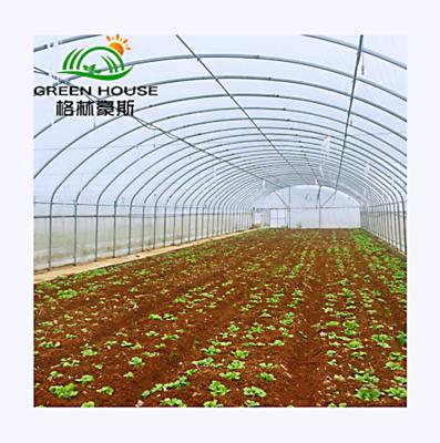 China Vegetables Planting Single Layers Greenhouse Film Cover Greenhouse Agricultural Span Greenhouse for sale