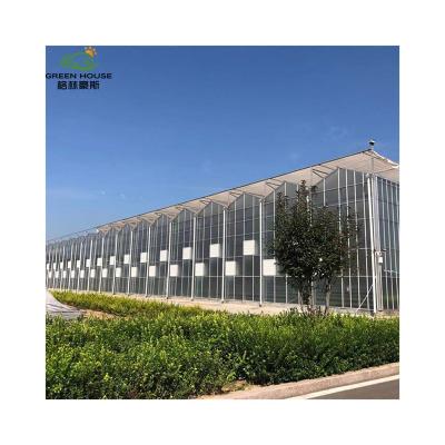 China Super Strong Durable Multi-span Glass Greenhouse Glass Greenhouse Kit Geometric Glass Greenhouse for sale