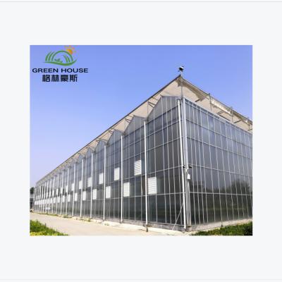 China Vegetable Smart Glass Greenhouse Multi-span Agriculture Flowers Fruits Hydroponic Greenhouse for sale