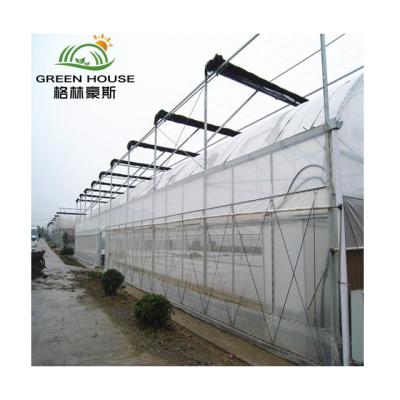 China Commercial Fruits Vegetable Flowers Greenhouse With Hydroponic Growing System Multi-span Film Greenhouses for sale