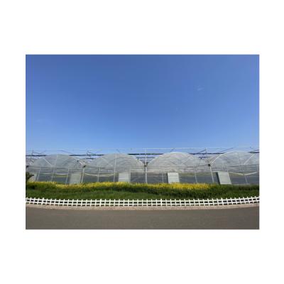 China Stable Structure Easily Assembled Multi-span Ultraviolet Film Greenhouse PO Five-Layer With Hydroponic System Seeding for sale