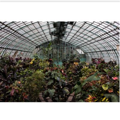 China Vegetables Planting Simple Greenhouse Tunnel Low Tunnel Greenhouse Plastic Span Tunnel for sale