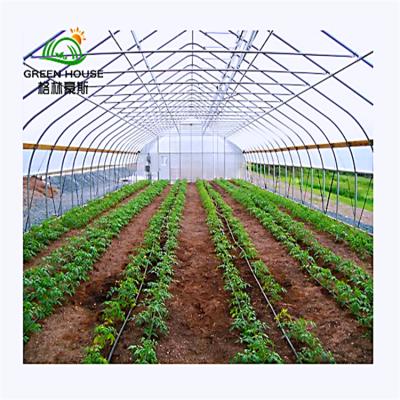 China Vegetables Planting Single-Span Film Greenhouse Tunnel Garden Greenhouse Tunnel Agriculture Greenhouse for sale