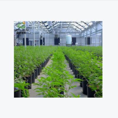 China Vegetable Fruits Flowers Greenhouse Fully Automated Light Deprivation Greenhouse With Light Deprivation Greenhouse Motors for sale