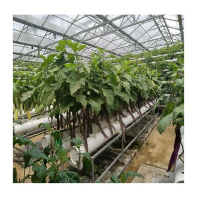 China Greenhouse Energy Saving Environmental Friendly Soilless Vertical Growing Hydroponics System Wholesale Vertical for sale