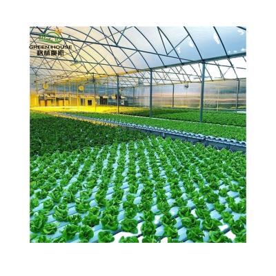 China Nft Easy Growing Vertical Hydroponics System Aquaponics System For Sale for sale