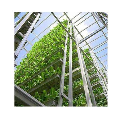 China PC leaf hydroponics system small pot digital nft agricultural tractor automatic pot system hydroponics for sale