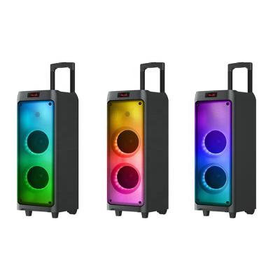 China 6.5inch 40W Yes Dual Flame Speaker With Different Clear Prints Built In Battery Portable Speaker With Trolley And Wheels for sale