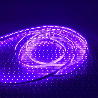 China Building Decoration 365nm 395nm 430nm Led Strip Club Lights Non-waterproof Purple Led Lights For Room Dance Party Body Painting Night Fishing for sale