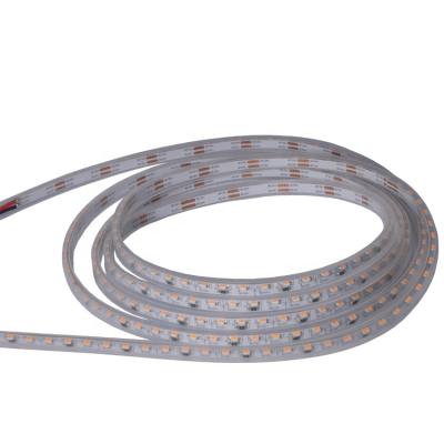 China Led Rope Strip 12v 24v Light Strip Led Light IP 65 ip66 ip67 4mm Waterproof Flexible 2mm 5mm Led Rope Light Strips For False Ceiling for sale