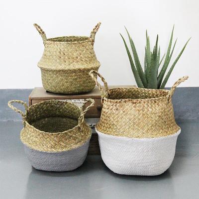 China Factory Products Plant Plankton Best Selling Folding Belly Basket In High Quality for sale