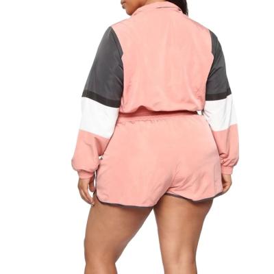 China QUICK DRY Women's Front Zipper Detail Crop Jacket And Elastic Waist Drawstring Shorts Tracksuits 2 Piece Set for sale