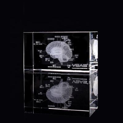 China Global Clear K9 Crystal Block Brain 3d Laser Gifts For Doctor for sale