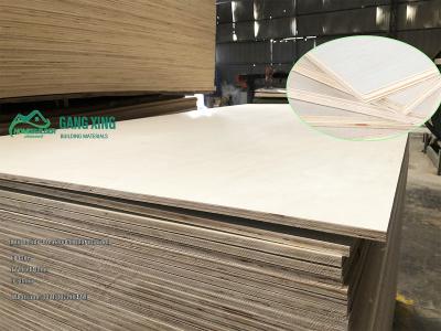 China Poplar plywood/poplar core plywood/Bleached poplar plywood for sale