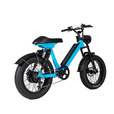 China Fat Saddle Battery Aluminum Alloy 48V Big Tire Mountain Electric Bicycle For Men for sale