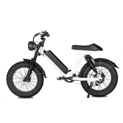 China Aluminum Alloy Hot Sale 48V 750W Strong Mountain Electric Bicycle With Fat Tire 20 x 4.0 for sale