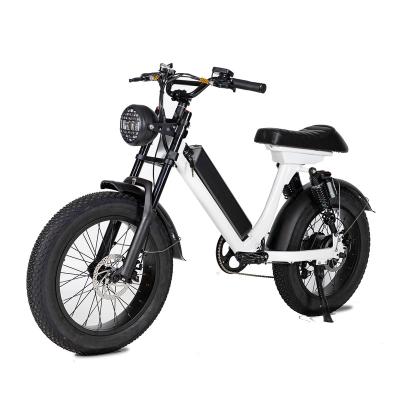 China Aluminum Alloy E Bikes Old Classic 20 x 4.0 Fat Tire Bike Electric Bicycle 48V 500W for sale