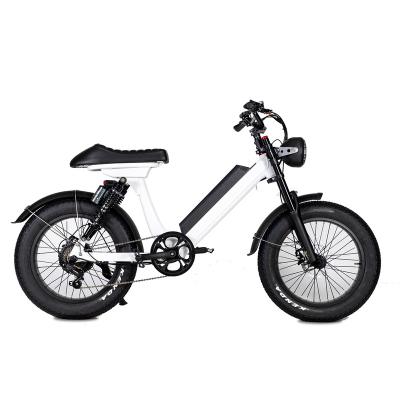 China 20 inch big wheel high power aluminum alloy electric bicycle for men for sale