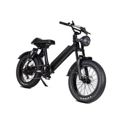 China Aluminum Alloy 20 Inch Big Tire Electric Bikes 750W 48V Pedal Assist E Bike For Adults for sale