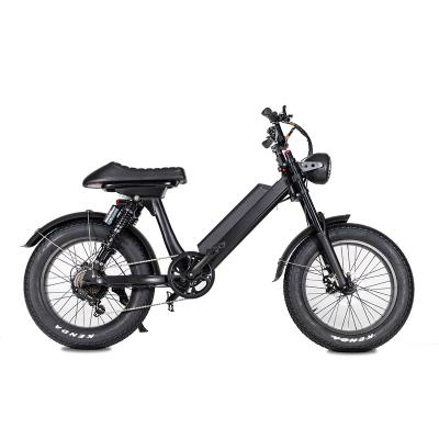 China Mtb Electric Bicycle Hot Sale 48V 750W Aluminum Alloy Powerful Fat Tire For Adults for sale