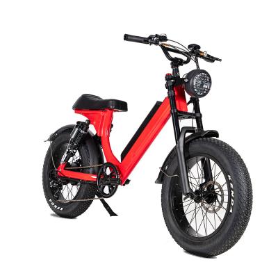 China Aluminum alloy 750 watt strong fat tire bicycle electric mountain bike with pedal assist for sale