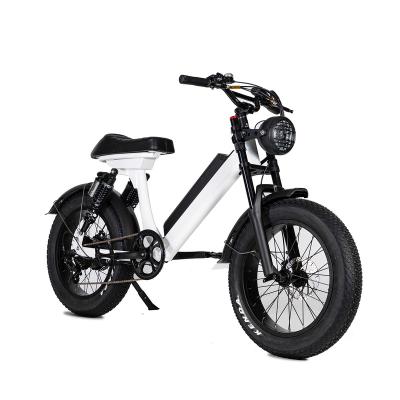 China Aluminum Alloy Pedal Assist Sport Lithium Battery Electric Bicycle With 20 Inch 4.0 Fat Tire For Mountain Road for sale