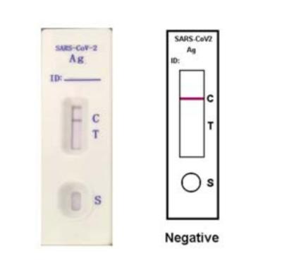 中国 COVID-19 Coronavirus 2の15mins内のCOVID-19流行病の診断のためのSARSCoV 2抗原の急速なテスト 販売のため