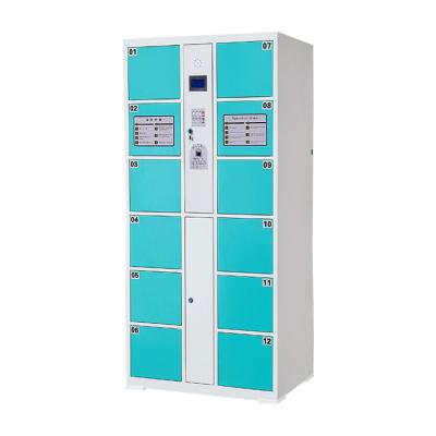 China Hot Sale New Type Professional Filing Cabinet Fingerprint Operated Storage Locker Shape Luoyang Grace for sale