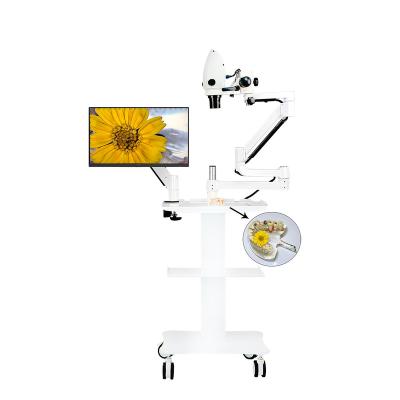 China LED Dental Regional Surgical Operation and Dental Intraoral Endodontic Microscope for sale