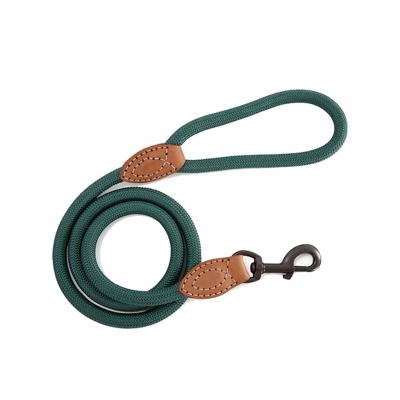 China Thoughtful Durable Nylon Dog Leash for Medium Large Dogs for sale