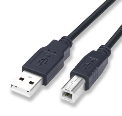 China USB 2.0 USB 2.0 Cable 480 Mbps USB 2.0 Cable USB 2.0 USB 2.0 Scanner Cable color for sale