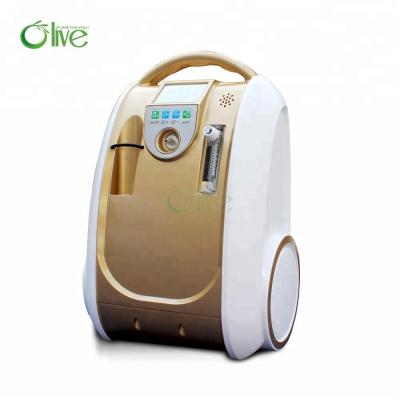 China Hot Selling Mini Small Portable Oxygen Concentrator Acrylic Healthcare Concentrador De Oxigeno Portatil Whit Battery for sale