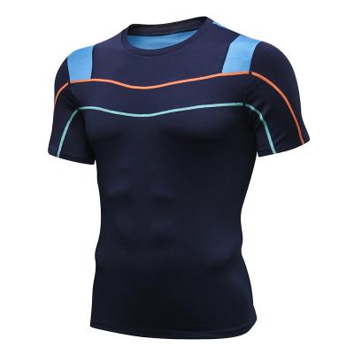 China Viable Wholesale Workout Men Compression Sports Shirts Fitness T-shirt Quick Dry Activewears for sale