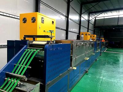 China A correia de embalagem do ANIMAL DE ESTIMAÇÃO/grava a maquinaria expulsando para embalar com a máquina de embalagem totalmente automático reciclada 100% dos flocos da garrafa à venda