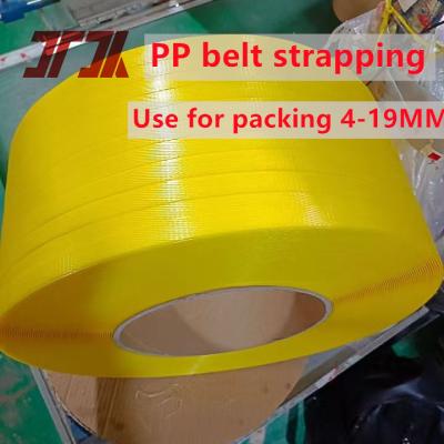 Cina Strapping in plastica in PP per i fascicoli dell'industria dell'imballaggio in vendita