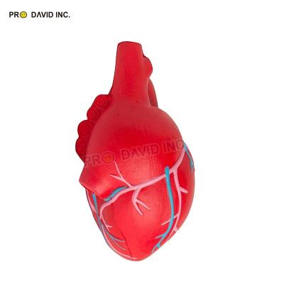 China Red Anatomical Toy Heart Stress Ball Anti Stress Toy Heart Promotional Stress Ball for sale