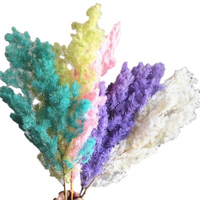 China Home Decoration Popular Multi Color Fashion Large Fluffy Beige Pink Pampas Grass For Sale for sale