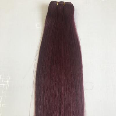 China Freetress Silky Straight Virgin Hair Bulk Extension Crochet Hair Shiny Soft Wave Hair for sale