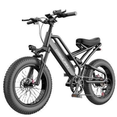 China DISIYUAN Aluminum Alloy E-Bike S9 Fat 20 Inch Tire Spoke Dual Wheel Disc Brake 48V Lithium Battery Hydraulic Electric Bicycle for sale