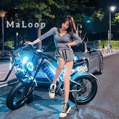 China Hot Sale Aluminum Alloy 20 Inch 4.0 Tire Fat E-Bike S9 Plus 500W 48V20Ah Double Disc Brake Lithium Battery Hydraulic Electric Bicycle for sale